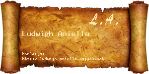 Ludwigh Aniella névjegykártya